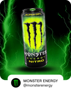 monster partner.png